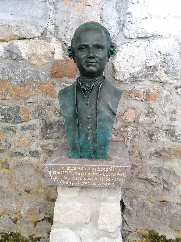 08b_Kip Scopolija v botaničnem vrtu